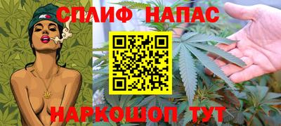 стафф Дубна