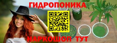 стафф Дубна
