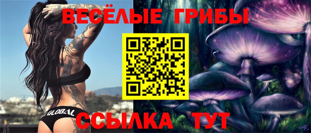 цена   Вход с VPN  Миллерово  Галлюциногенные грибы ЛСД 